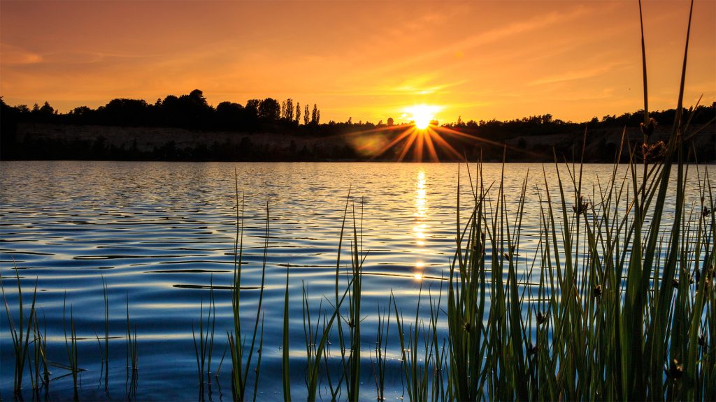 Environment Rural News