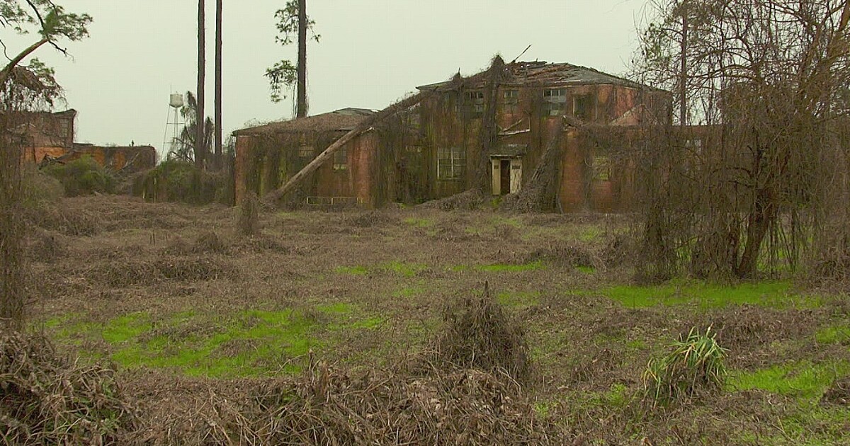 dozier school