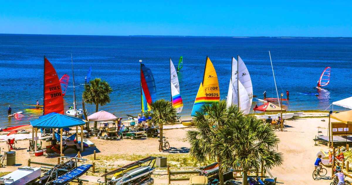 stephen smith regatta 1